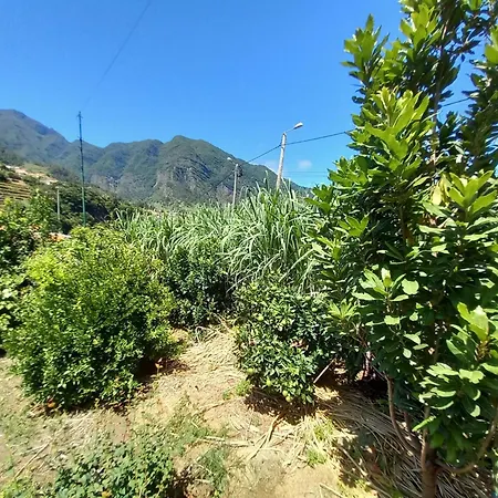 Vakantiehuis Refugio Do Limoeiro São Vicente