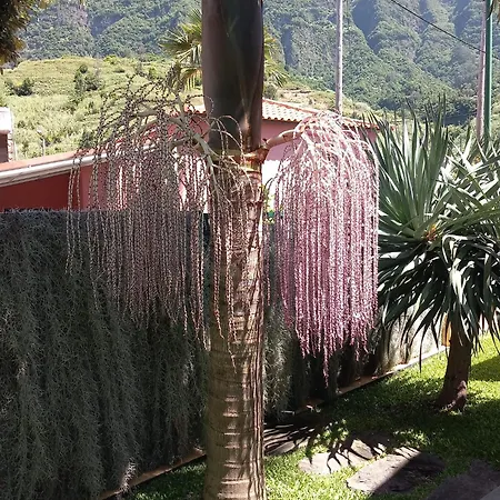 Refugio Do Limoeiro * São Vicente