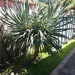 Refugio Do Limoeiro Holiday home *
