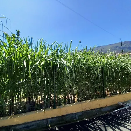 Refugio Do Limoeiro بيت للعطل *