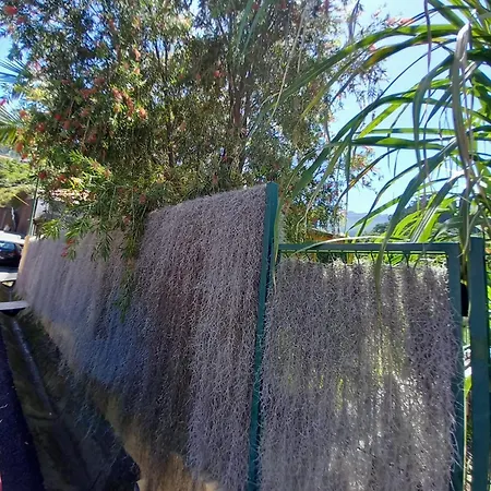 Refugio Do Limoeiro بيت للعطل *