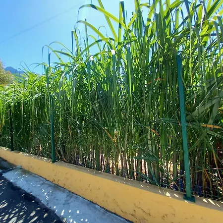 Refugio Do Limoeiro بيت للعطل