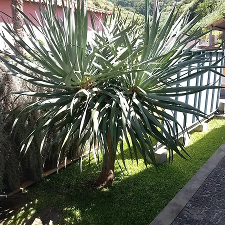 Refugio Do Limoeiro Nyaraló *