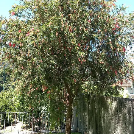 펜션 Refugio Do Limoeiro *